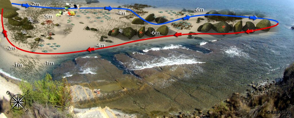 Infografía snorkel la llobella