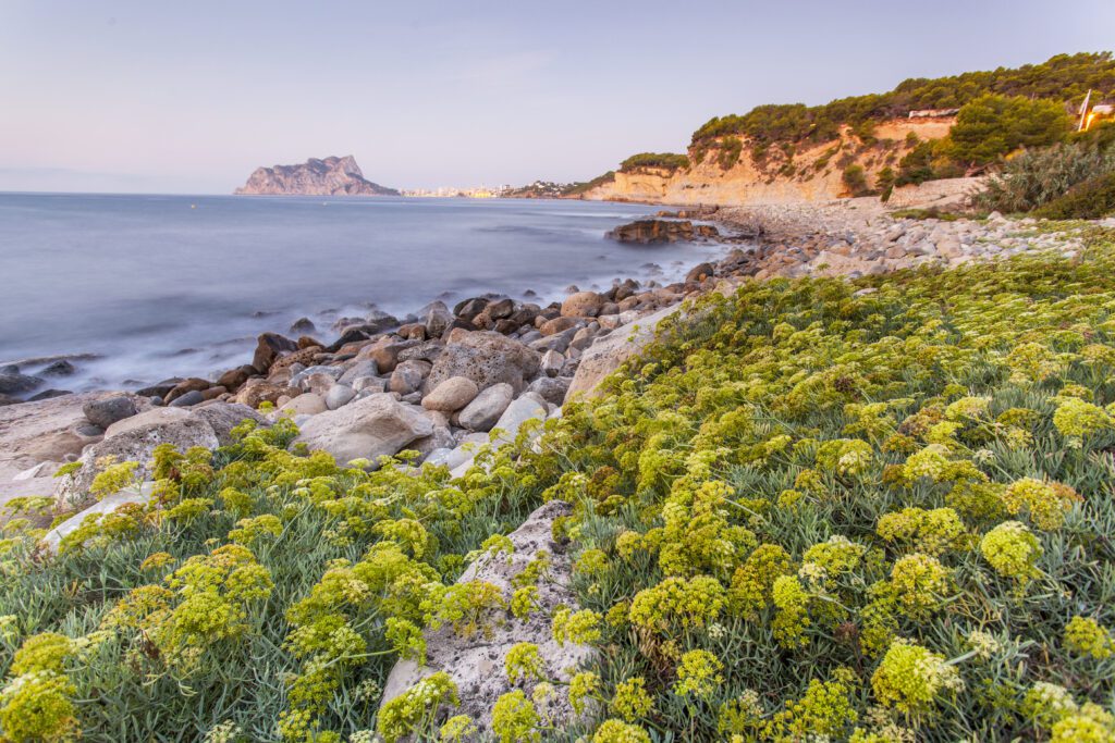 Cala Baladrar