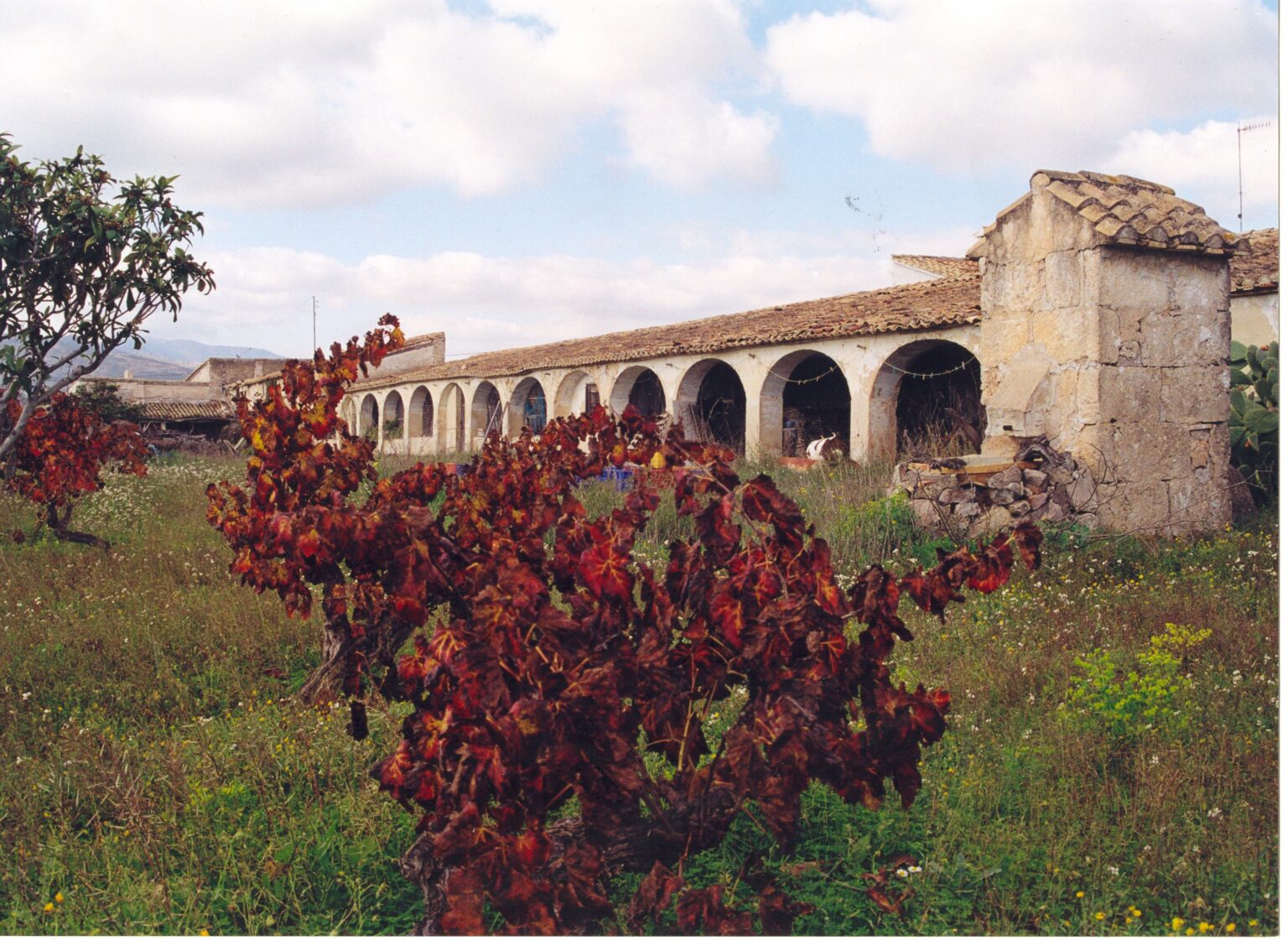 Ruta dels riuraus. Ruta de senderismo y BTT